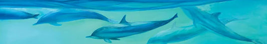 Sealife