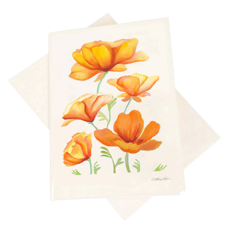 California Poppies 5-Pack Greeting Card Set