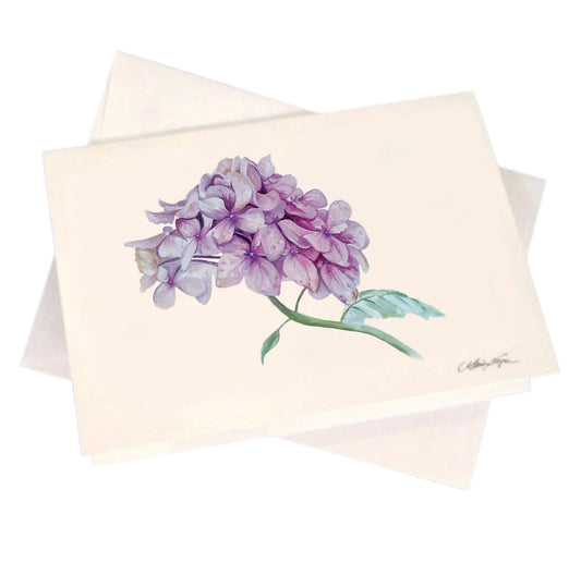 Hydrangea 5-Pack Greeting Card Set