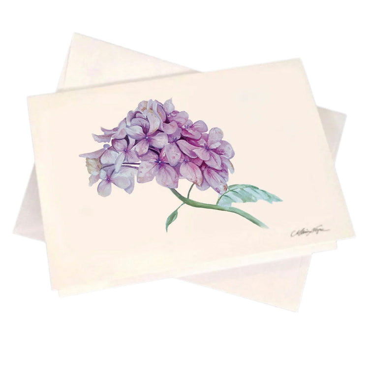 Hydrangea 5-Pack Greeting Card Set