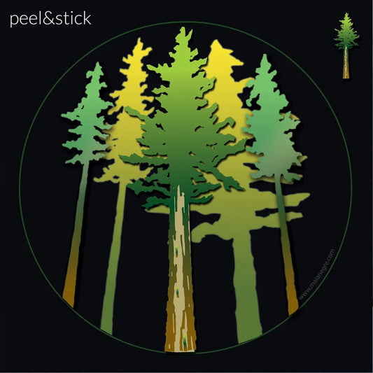 Redwood Trees Decal 3-pack of Stickers