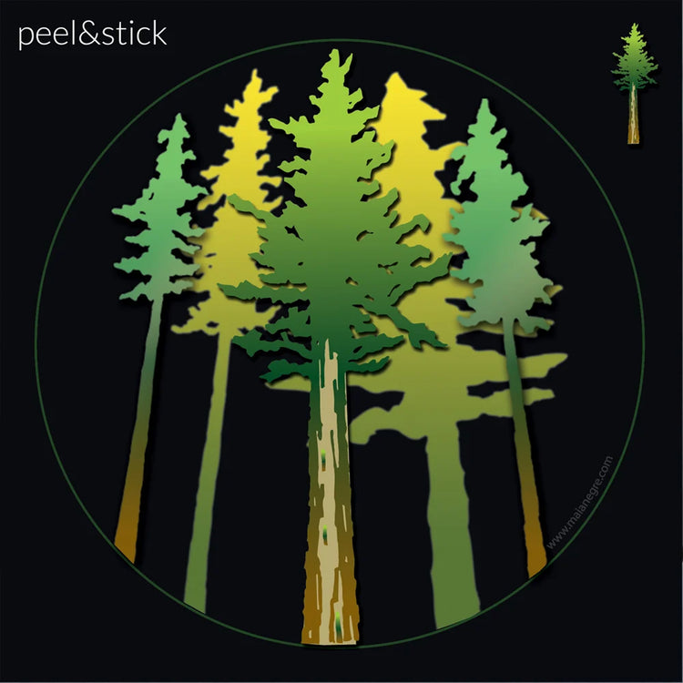 Redwood Trees Decal 3-pack of Stickers