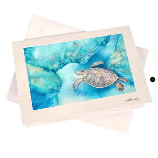 Sea Turtle 5-Pack Greeting Card Set