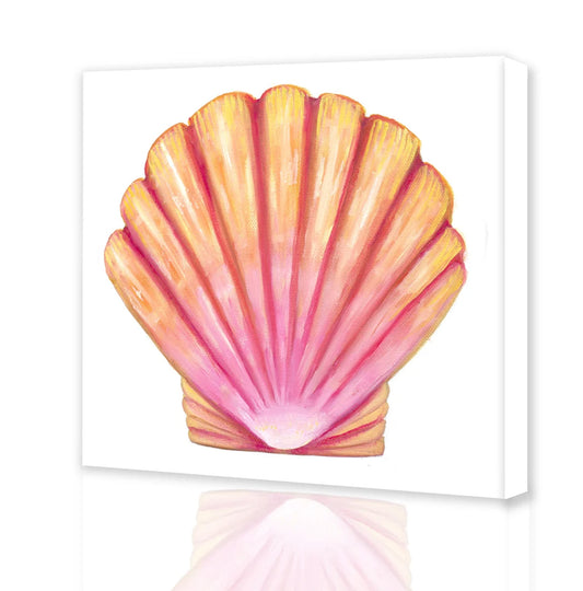 Sunrise Shell
