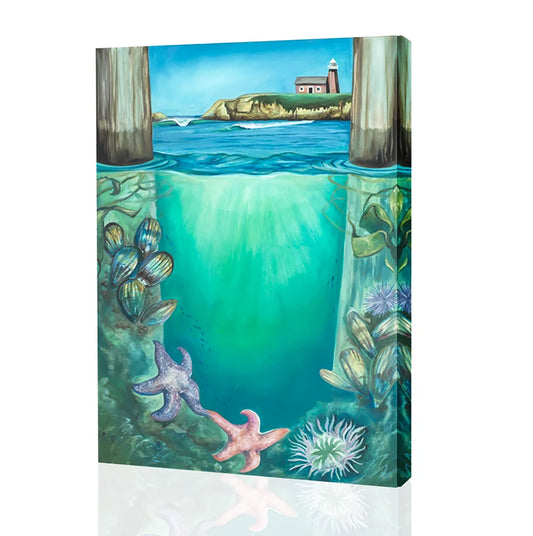 Underwater Wharf to Steamer’s Lane, Santa Cruz