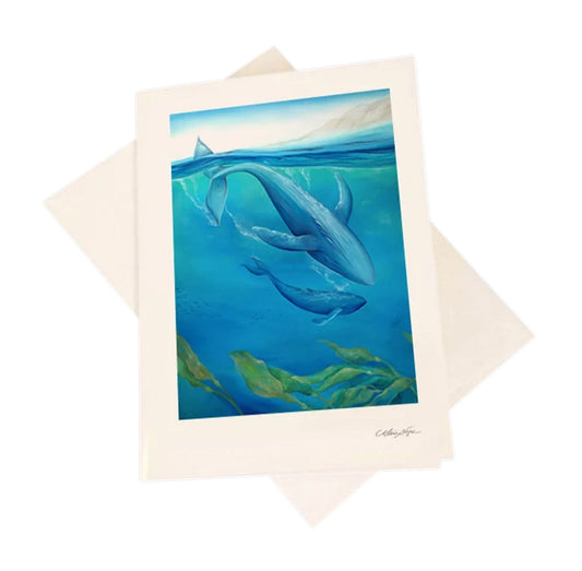 Whales 5-Pack Greeting Card Set