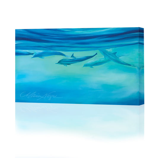 Dolphins