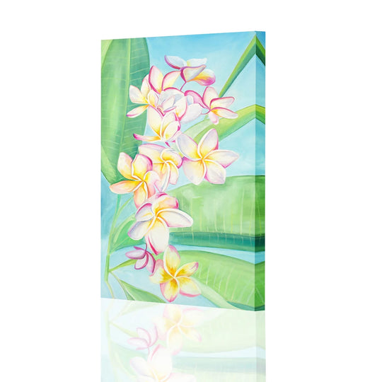 Plumerias