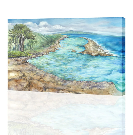 Sharks Cove